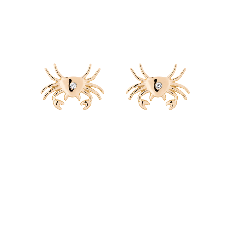 Zodiac studs