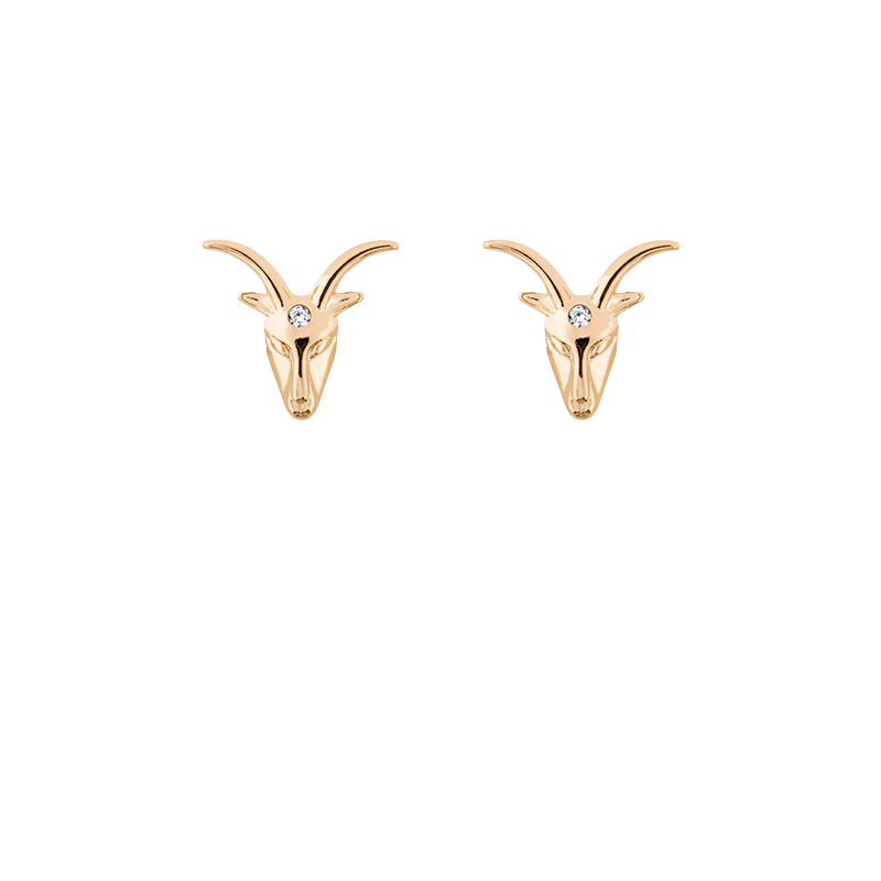 Zodiac studs