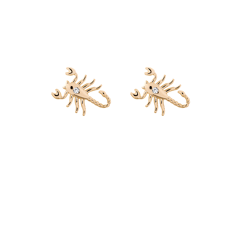 Zodiac studs
