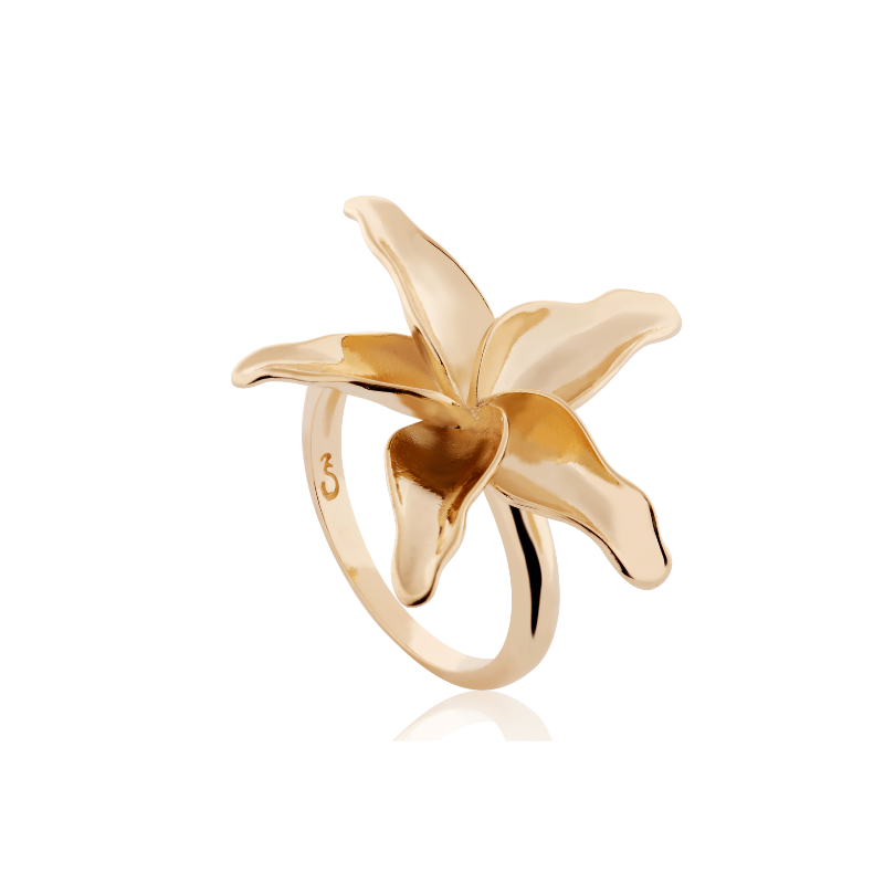 Bloom ring smooth