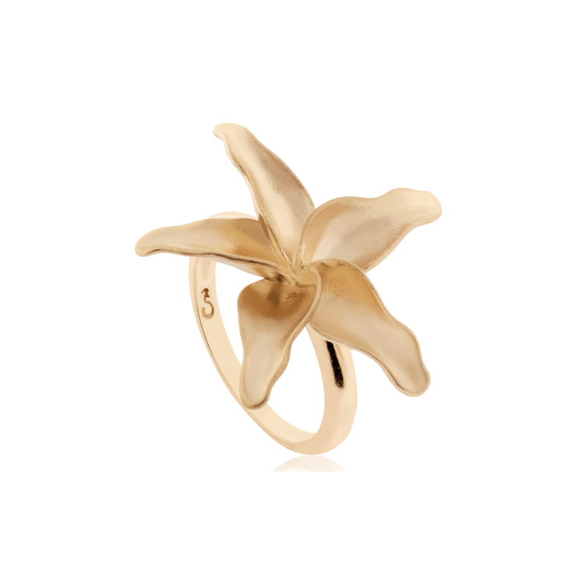 Bloom ring texture