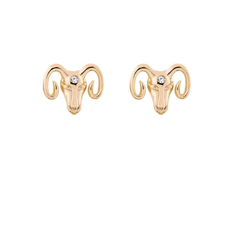 Zodiac studs