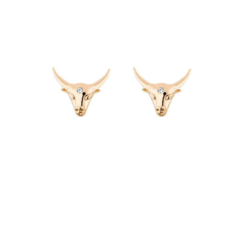 Zodiac studs